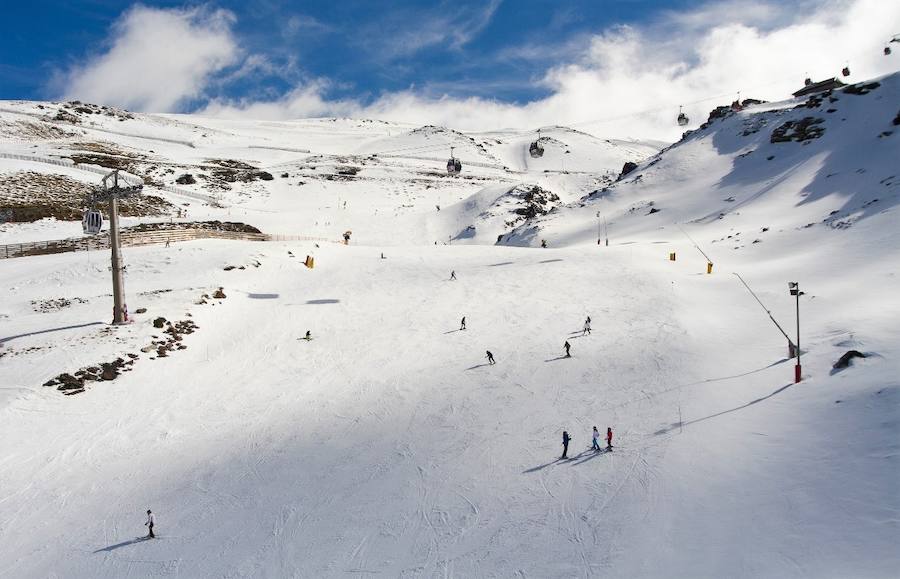 Sierra Nevada ofrece 100 kilómetros esquiables, casi la totalidad del dominio