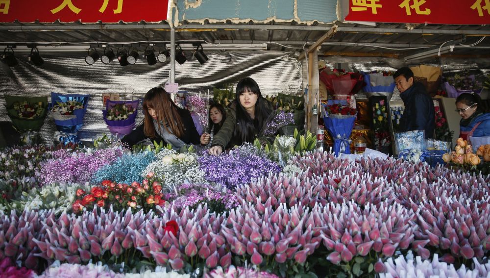 Mercados de matrimonios: padres chinos buscan pareja a sus hijos solteros