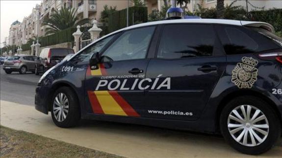 Un hombre incita a 3 de sus perros a atacar a una gata callejera embarazada, que acabó muriendo