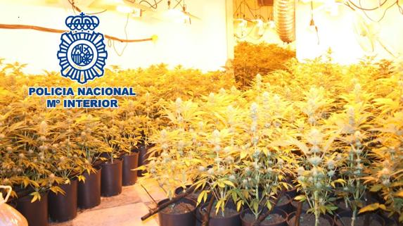 Detenidos 39 miembros de una trama de tráfico internacional de marihuana