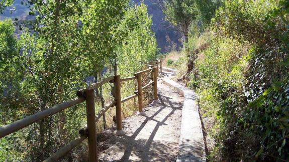 Agrede con una azada a un vecino en una pelea por el riego de su parcela en Laroya