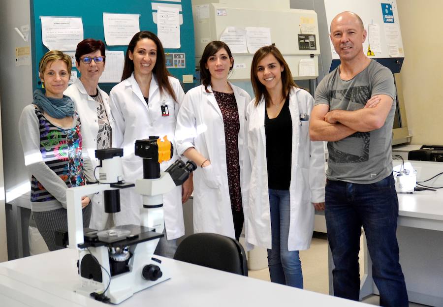 Descubren la acción antiinflamatoria y autoinmune de una molécula en el miocardio