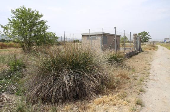 La vegetación seca rodea uno de los pozos construidos en los noventa para situaciones de sequía.