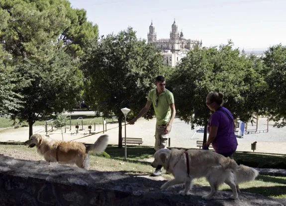 El parque del Seminario es una de las zonas verdes donde los perros pueden ir sin correa.