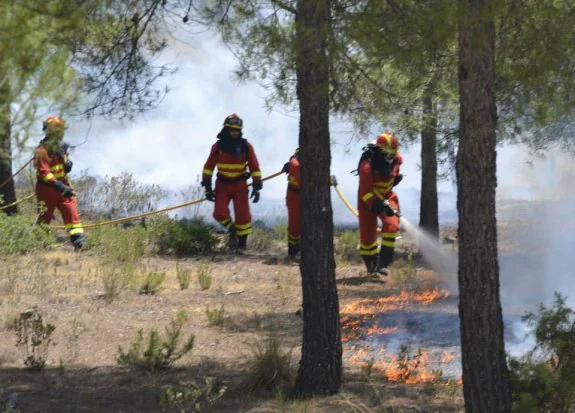 Un grupo de la UME trabaja en la extinción del incendio forestal en Quesada.