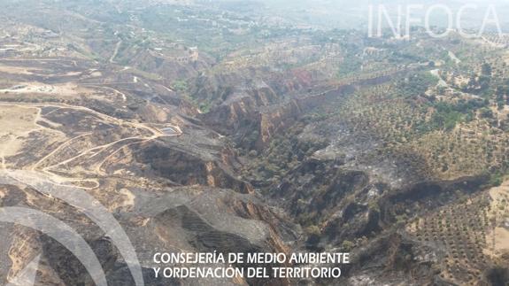 Imagen de la superficie arrasada por las llamas el martes.