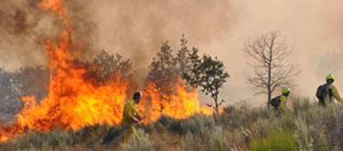 Detenido el presunto pirómano de Las Arribes tras otro incendio en Villarino