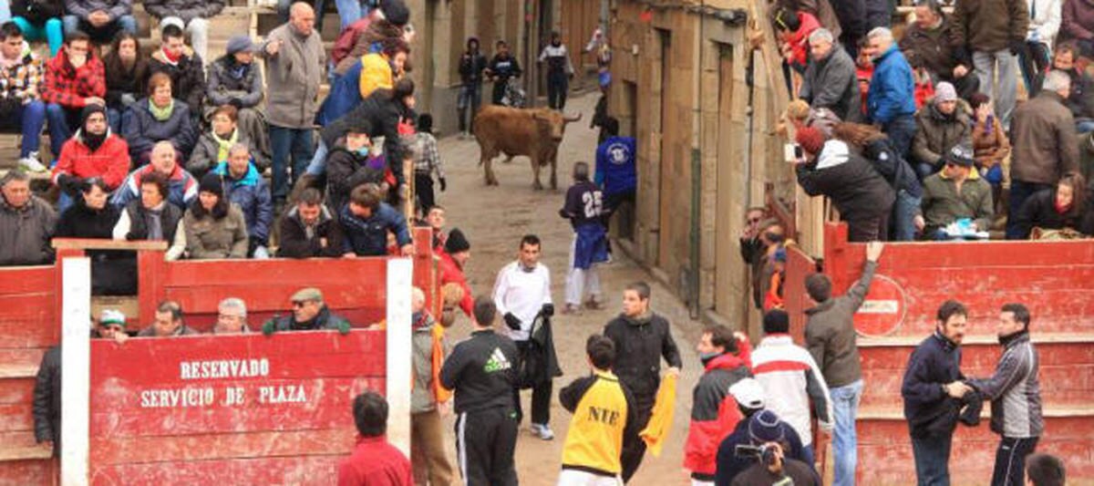 Ciudad Rodrigo volverá a tener toros en mayo para rodar un anuncio