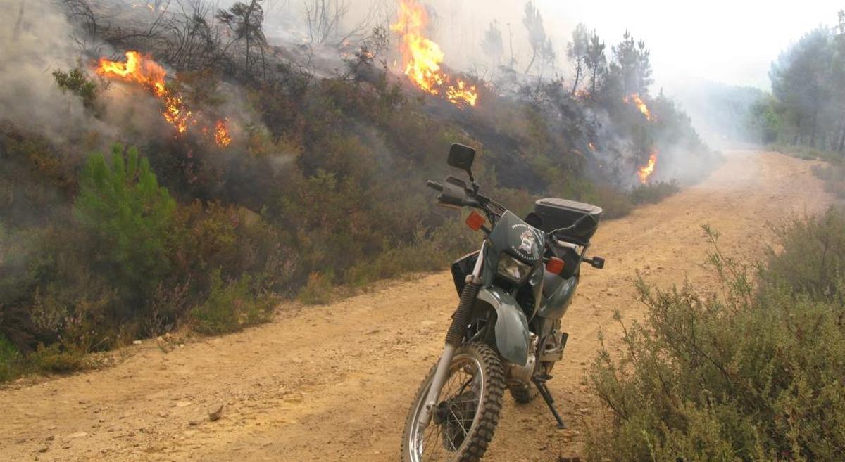 Diez detenidos o investigados en Castilla y León por provocar incendios forestales