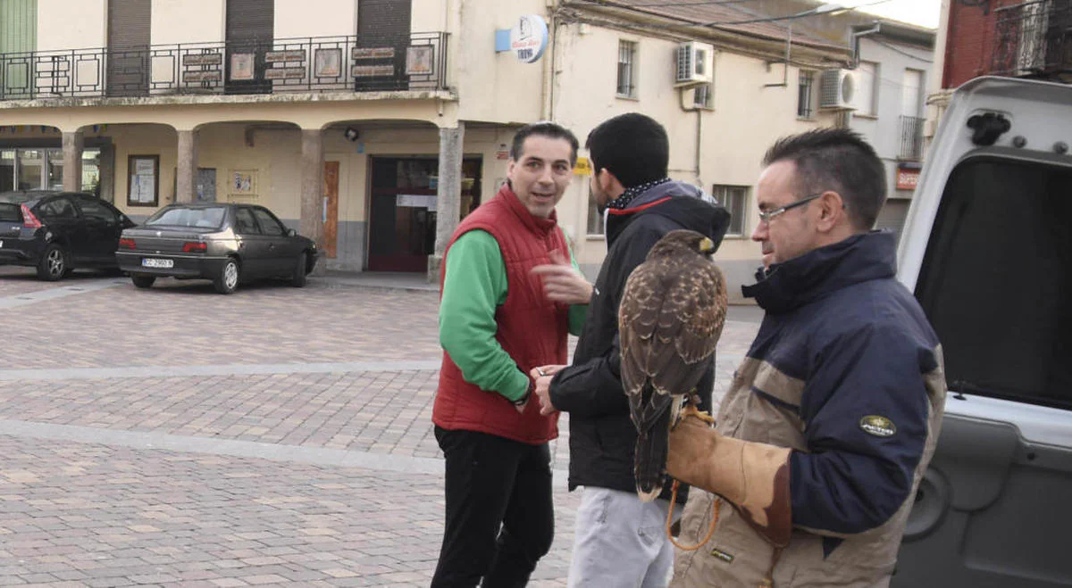 Controlada la plaga de estorninos de La Fuente de San Esteban, que ya s&oacute;lo alberga 1.000 ejemplares aut&oacute;ctonos&nbsp;