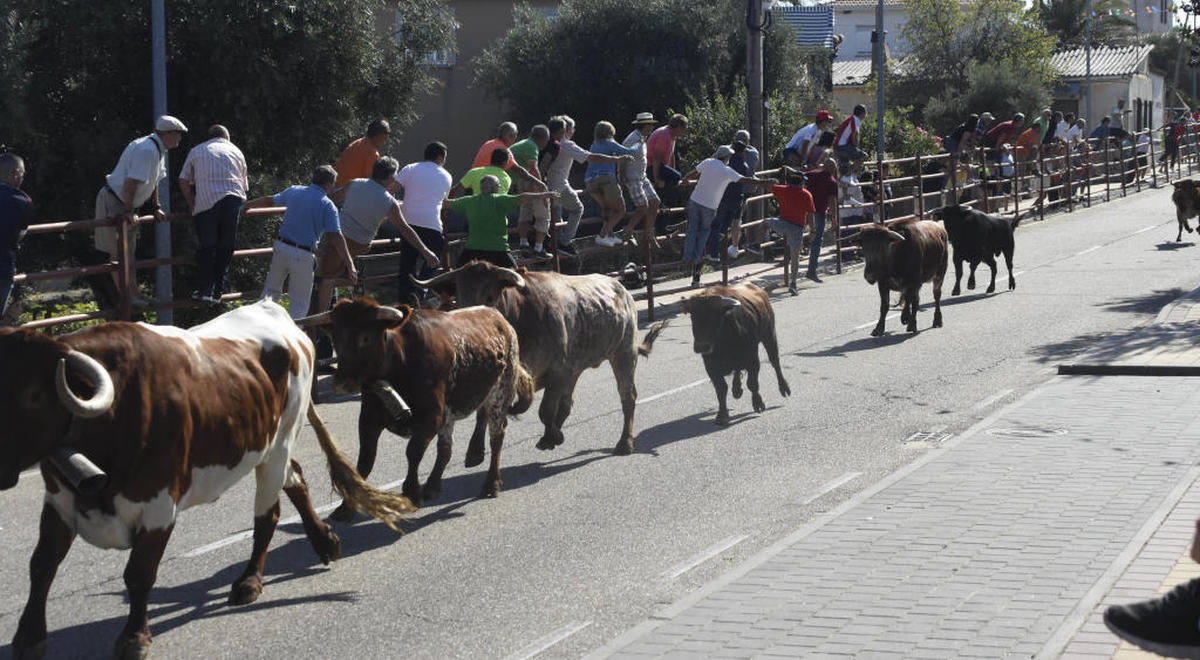 Rápido encierro para despedir las fiestas de Villarino de los Aires