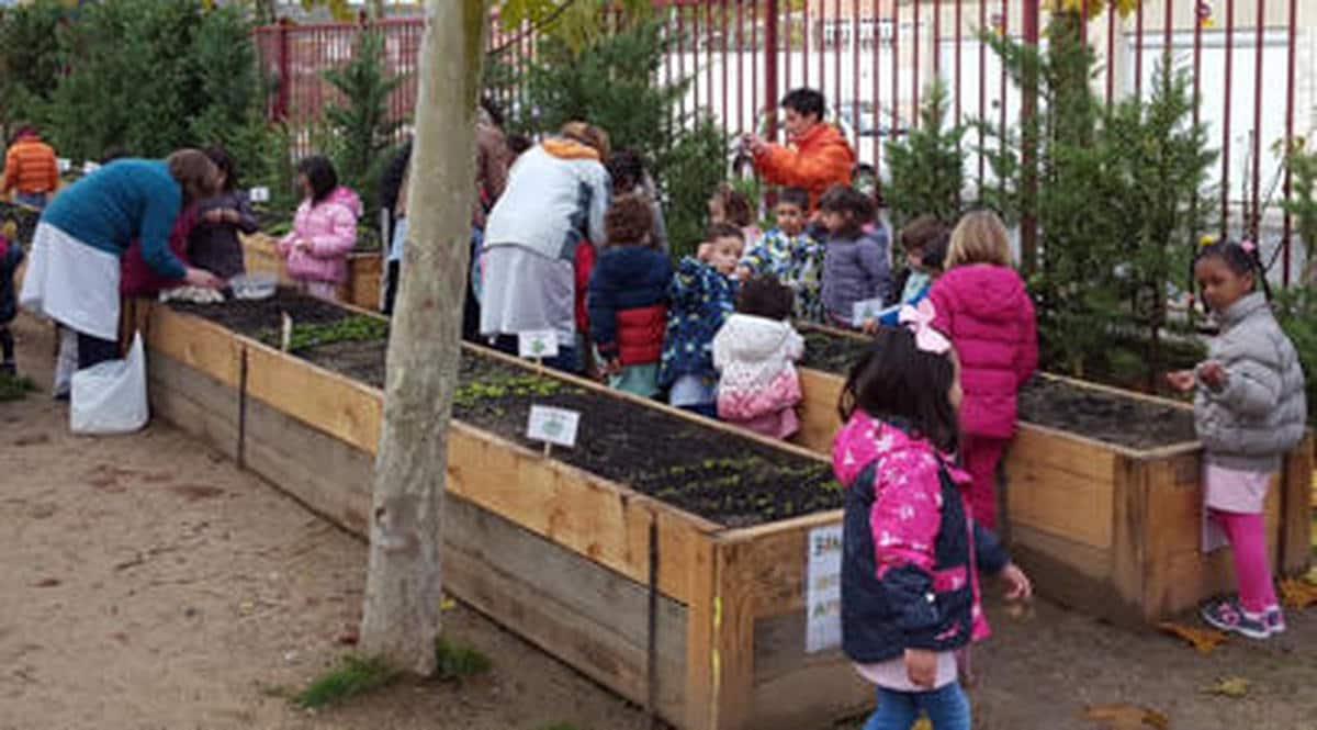 La Red de Huertos Ecológicos de la Universidad es claro ejemplo de educación medioambiental