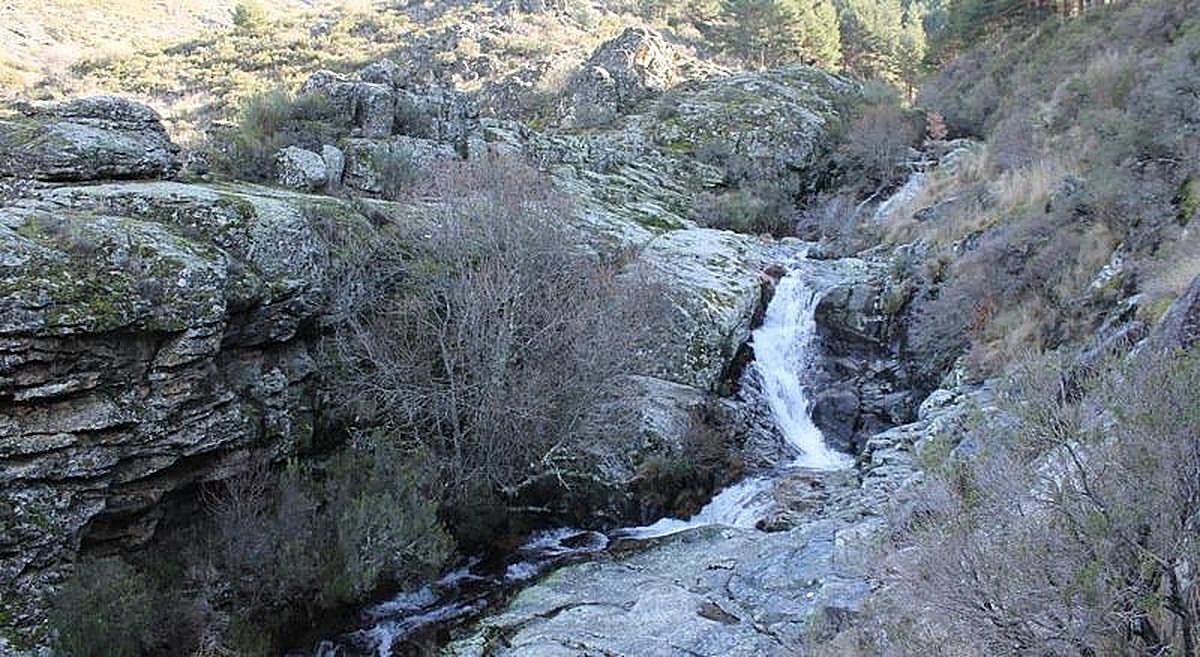 El 'gruñido' del oso se escucha en Candelario