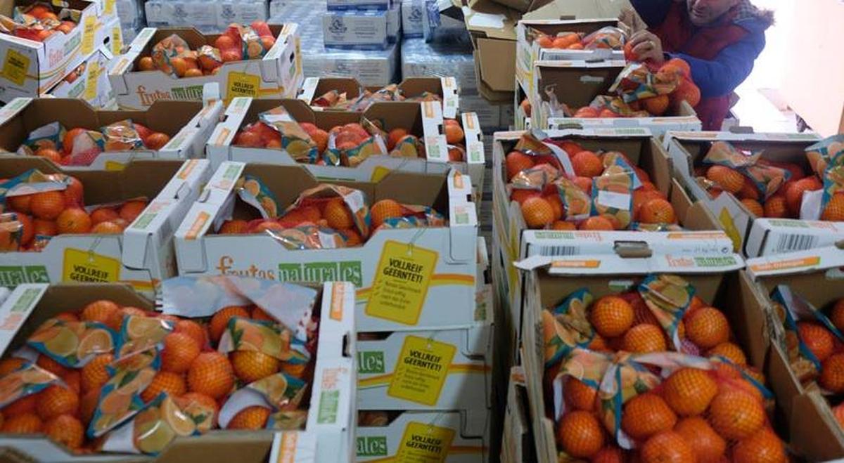 14.000 kilos de naranjas incautadas al narcotráfico para los más necesitados del Zurguén