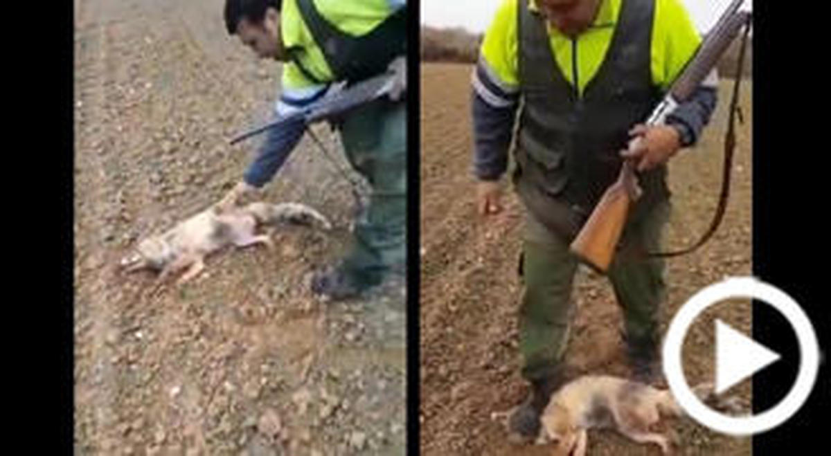 La tortura de un hombre a un zorro que indigna a animalistas y cazadores por igual