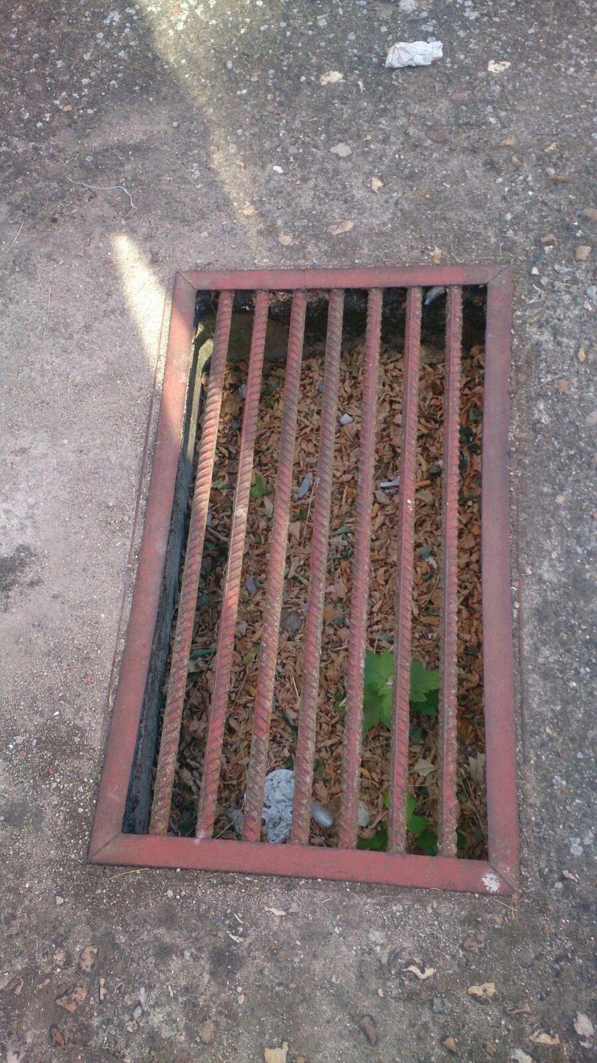 Críticas vecinales por la falta de limpieza de las alcantarillas y el cuidado de las zonas verdes en Peñaranda