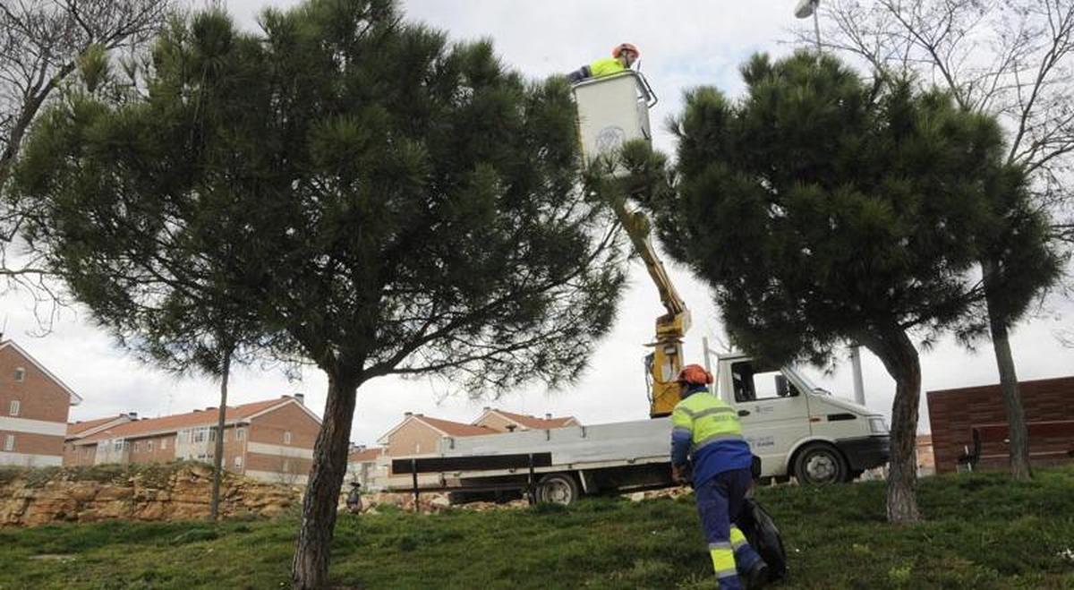 El servicio de parques y jardines de Salamanca aumentará su plantilla