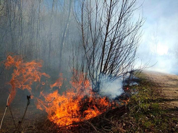 Imagen del incendio declarado este sábado en Sieteiglesias.