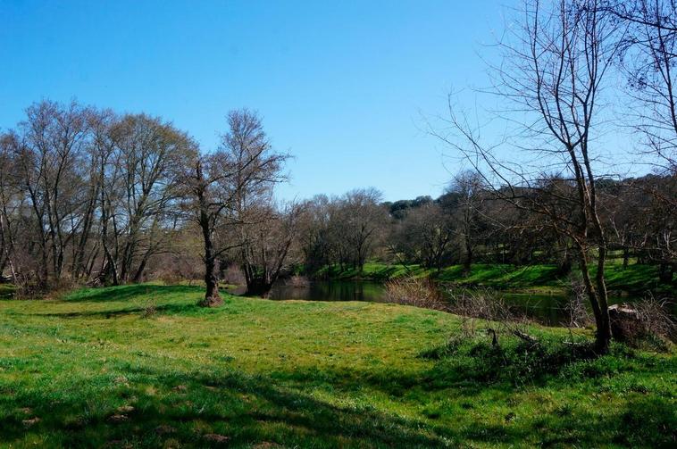 El molino carbonero y su gran isla