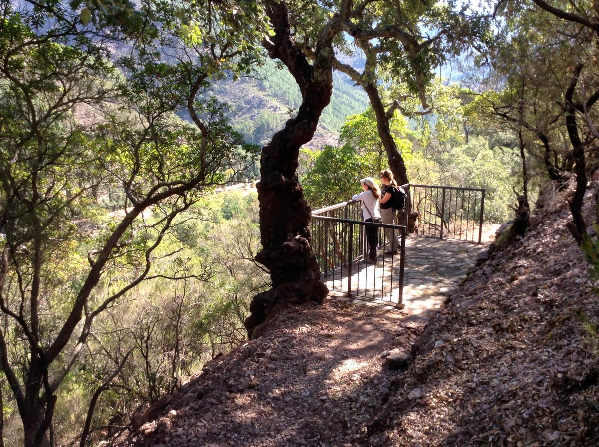 Mirador de “San José” en el término municipal de La Alberca.