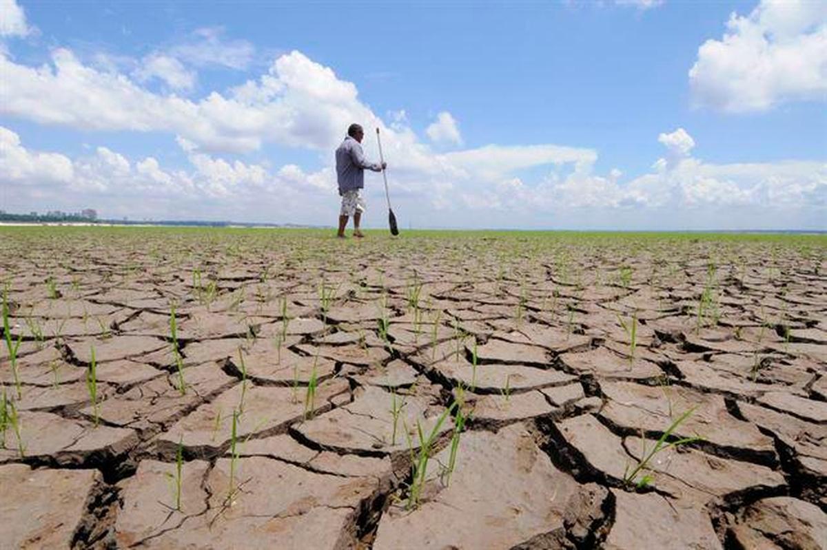 Los proyectos esperan mitigar la emergencia climática.