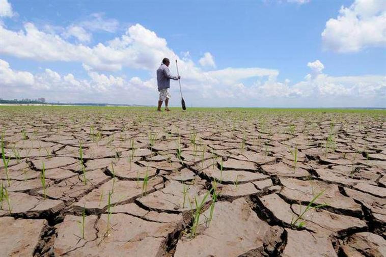 Los proyectos esperan mitigar la emergencia climática.