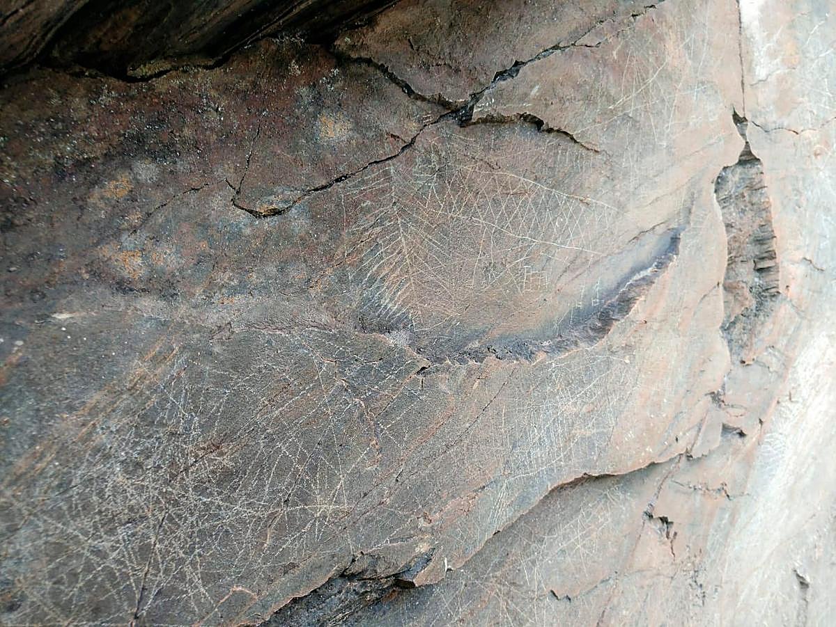 Uno de los grabados encontrados en La Fregeneda.