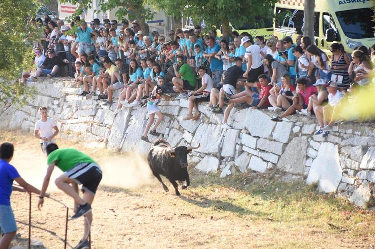 El toro de la ganadería de Villoria que completó el festejo organizado por la asociación juvenil.