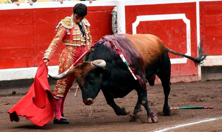 Muletazo de López Chaves en su actuación en Bilbao.