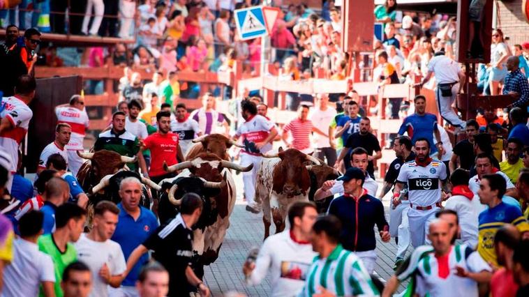 Encierros de San Sebastián de los Reyes.