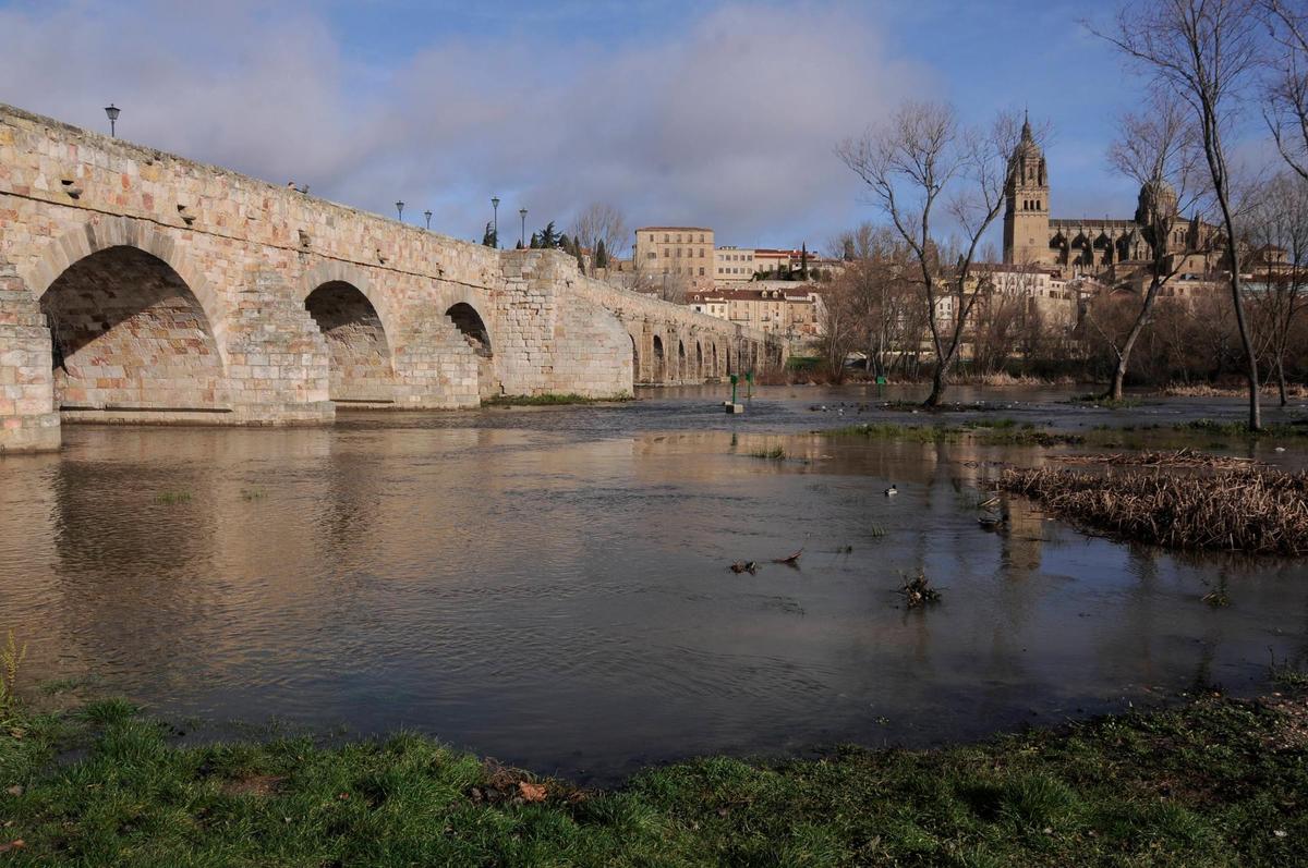 El Puente Romano de Salamanca, durante una crecida.
