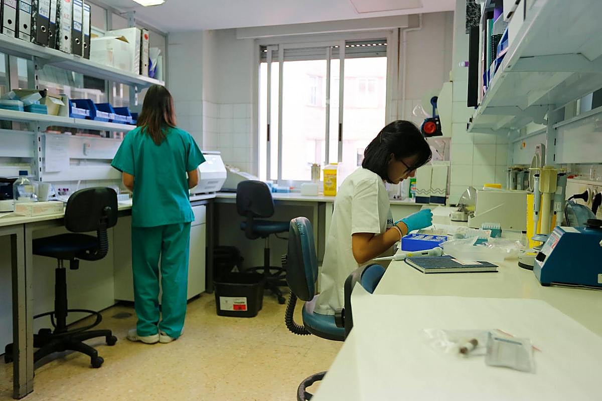 Profesionales de Hematología en un laboratorio del Hospital analizando muestras.