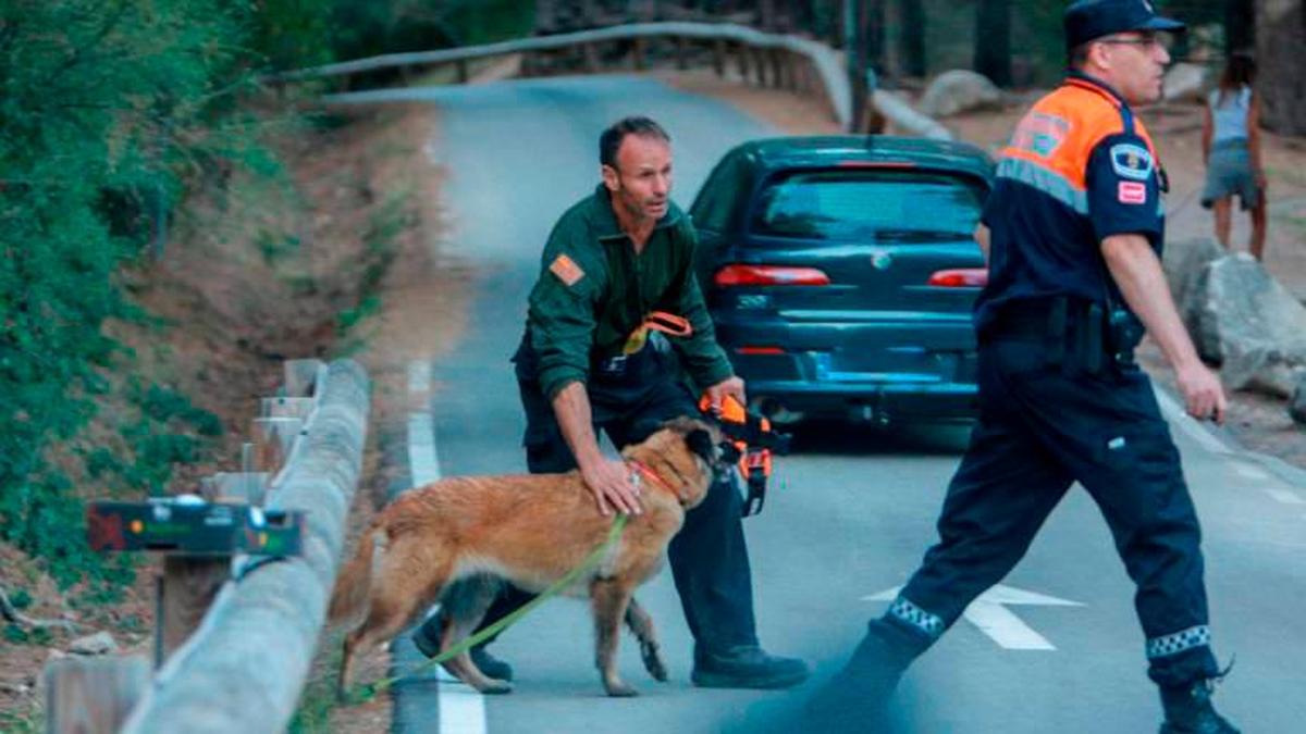 La Guardia Civil en las labores de búsqueda con perros a Blanca Fernández Ochoa