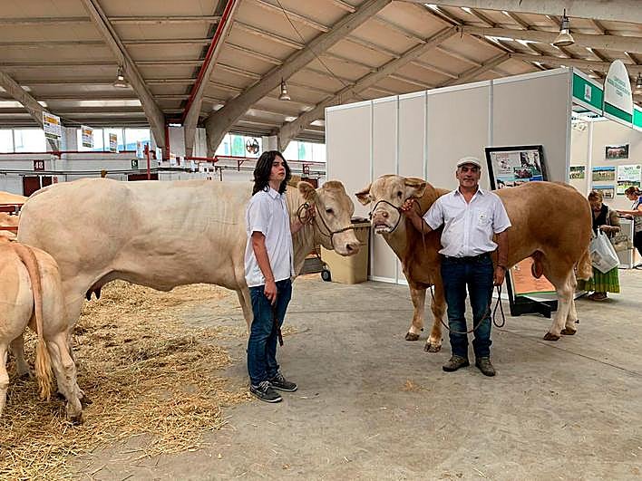 Los dos ejemplares de Blonda, Hoseille y Noya.