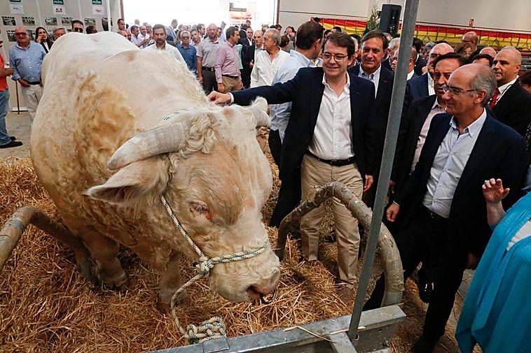 La feria Salamaq 2020 se inauguró este jueves.