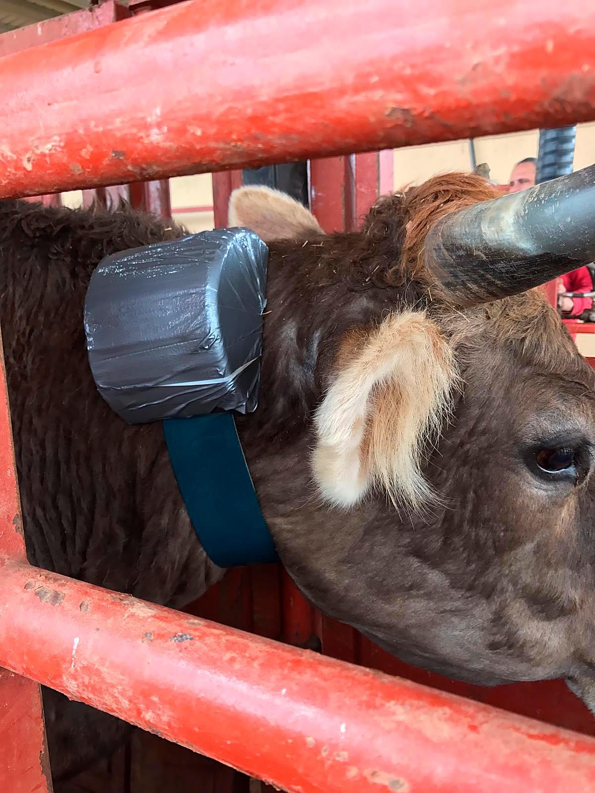 Prototipo del localizador desarrollado en el proyecto Civex.