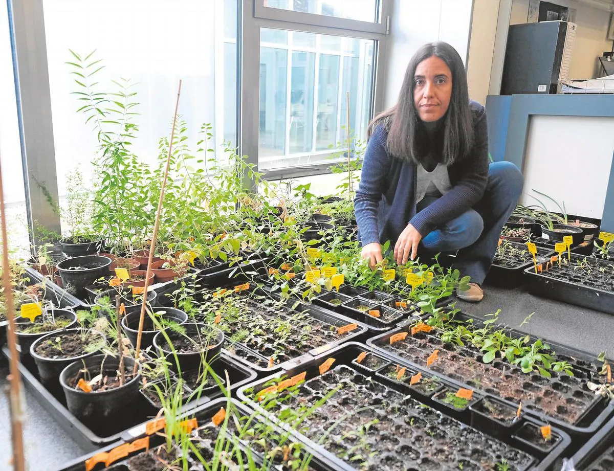 Estefanía Sánchez, en el CIALE