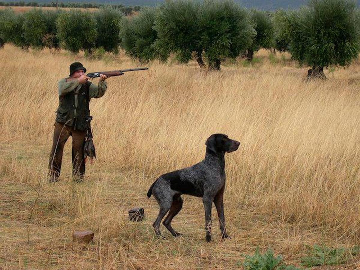 PP, Cs y Vox han acordado promocionar la caza en los colegios de Andalucía.
