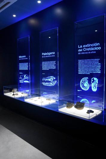 Monsagro cuenta con un atractivo y moderno Museo de los Fósiles.