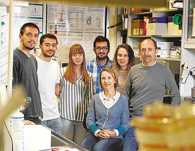 De izquierda a derecha: Arturo Carabias, Óscar Herranz, Cristina Fernández, Luis Hernández, Carmen Guerrero Arroyo (sentada, directora del grupo), Alba Morán y José María Pereda, integrantes del grupo de investigación sobre Mecanismos de Señalización en Enfermedades Cardiovasculares y otras Patologías, del CIC.