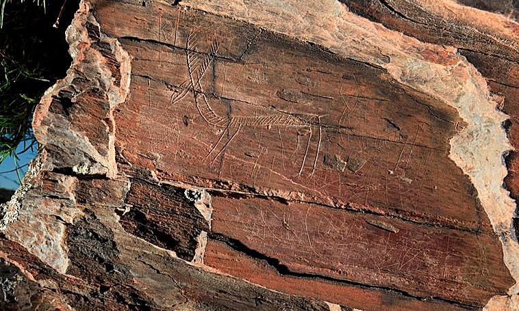 Fotografía realizada por Carlos Vázquez y Mário Reis de uno de los grabados del yacimiento de La Fregeneda.