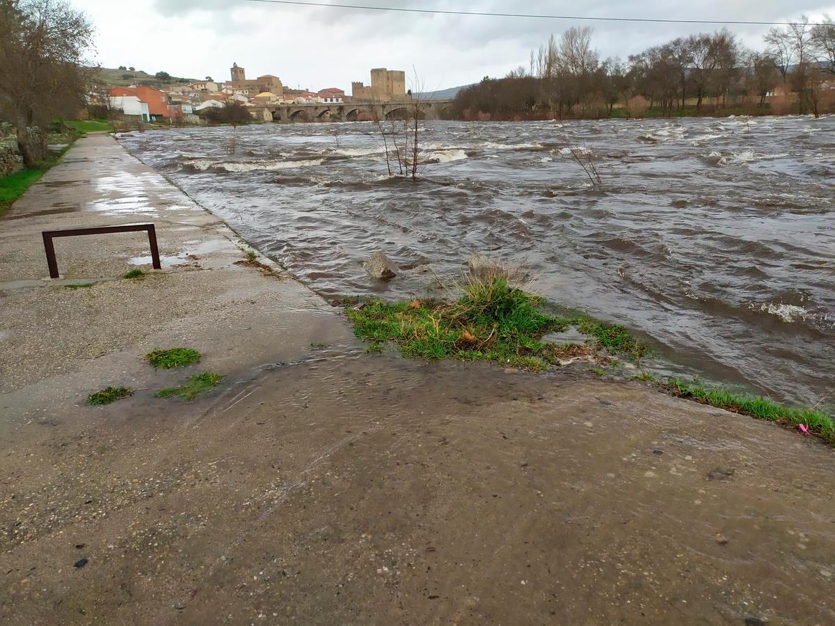 Crecida del río Tormes en Puente del Congosto. Fotos: TEL