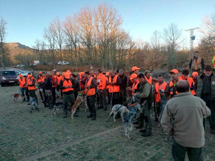 Los 32 participantes en el XXIX Campeonato Nacional de Caza de Becada preparados con sus perros para tomar la salida en El Cabaco.