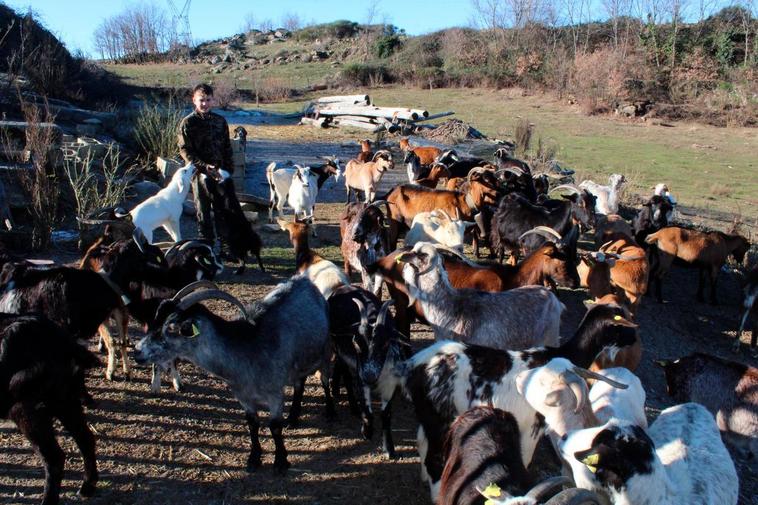 La explotación caprina de Alberto García se encuentra en la localidad de Cantagallo.