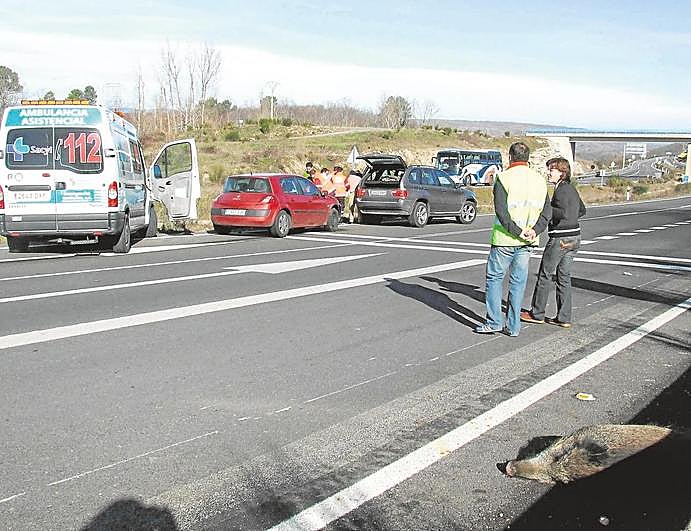Accidente provocado por un jabalí en una autovía salmantina.