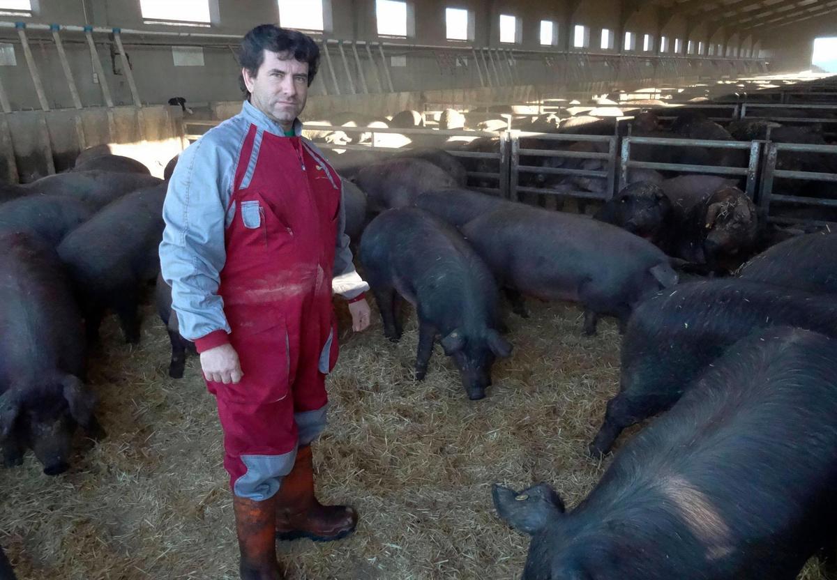 José Antonio Alonso en la explotación de porcino que tiene en Encinas de Arriba.