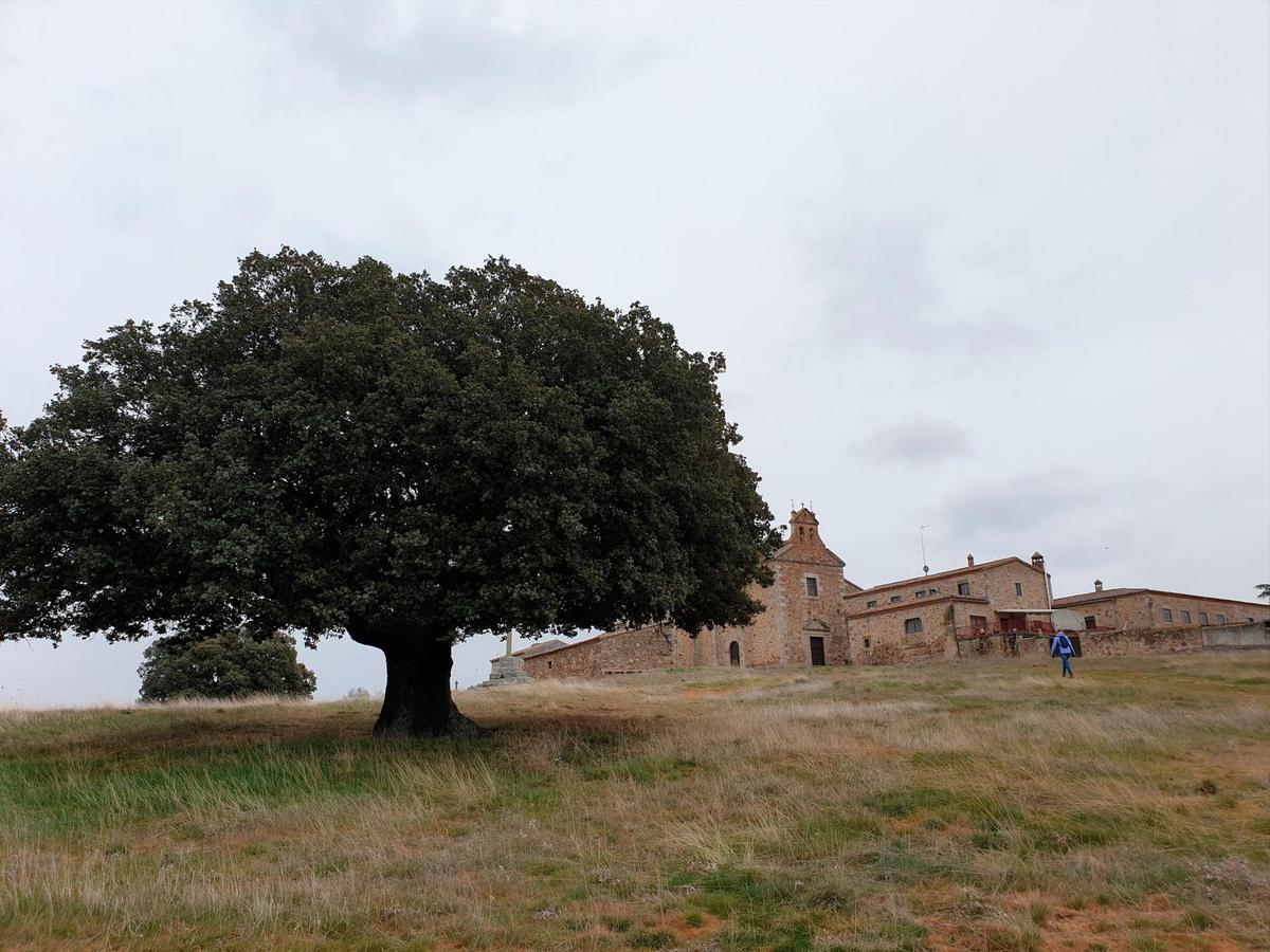 Ermita de Valdejimena.