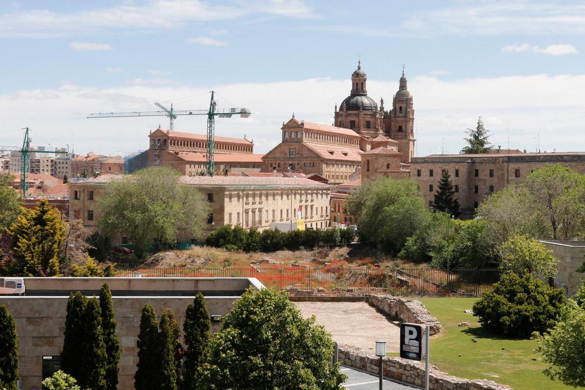 Botánico de Salamanca.