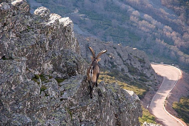 Las Batuecas ofrece un espacio único de vegetación mediterránea.