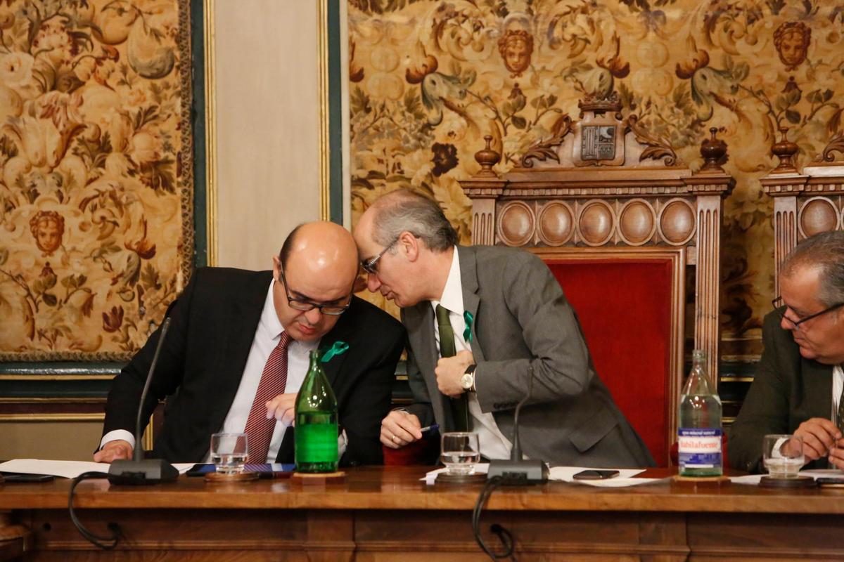 Carlos García Sierra y Javier Iglesias, con sus lazos verdes durante el pleno de la Diputación.